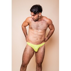 BRIEF LEMON