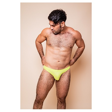 BRIEF LEMON