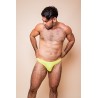 BRIEF LEMON
