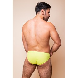 BRIEF LEMON