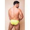 BRIEF LEMON